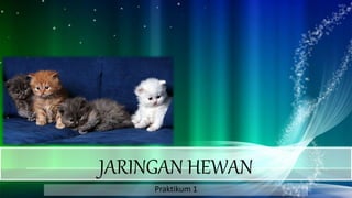 JARINGAN HEWAN
Praktikum 1
 