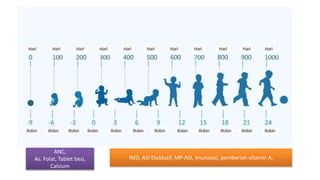 ANC,
As. Folat, Tablet besi,
Calsium
IMD, ASI Eksklusif, MP-ASI, imunisasi, pemberian vitamin A,
 