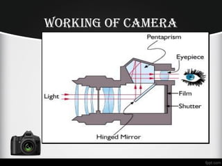 woRKing oF CAMeRA
 
