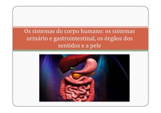 Os sistemas do corpo humano: os sistemas
urinário e gastrointestinal, os órgãos dos
sentidos e a pele
 