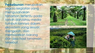 Perkebunan merupakan 
segala kegiatan yang 
mengusahakan 
tanaman tertentu pada 
tanah dan/atau media 
tumbuh lainnya dalam 
ekosistem yang sesuai; 
mengolah, dan 
memasarkan barang 
dan jasa hasil tanaman 
tersebut. 
 