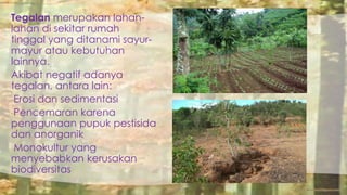 Tegalan merupakan lahan-lahan 
di sekitar rumah 
tinggal yang ditanami sayur-mayur 
atau kebutuhan 
lainnya. 
Akibat negatif adanya 
tegalan, antara lain: 
-Erosi dan sedimentasi 
-Pencemaran karena 
penggunaan pupuk pestisida 
dan anorganik 
-Monokultur yang 
menyebabkan kerusakan 
biodiversitas 
 