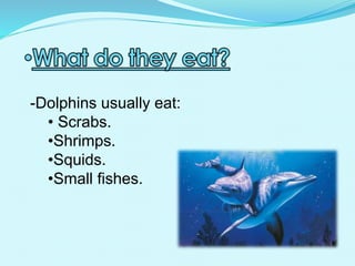 -Dolphins usually eat:
• Scrabs.
•Shrimps.
•Squids.
•Small fishes.
 
