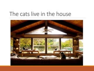The cats live in the house
 