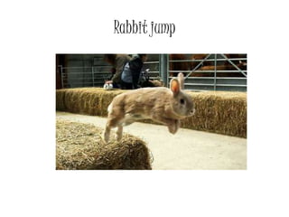 Rabbit jump
 
