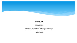 ELİF KÖSE
1736070011
Amasya Üniversitesi Pedagojik Formasyon
Matematik
 