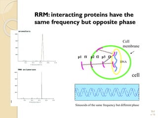 RRM: interacting proteins have the same frequency but opposite phase 
Slid 
e 16 
cell 
Cell membrane 
p1 f1 p2 f2 p3f3 
DNA 
Sinusoids of the same frequency but different phase  