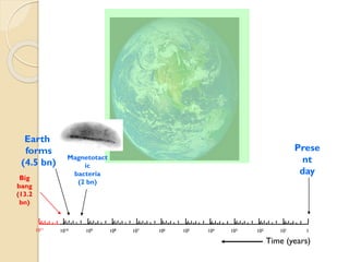 Big 
bang 
(13.2 bn) 
Earth 
forms 
(4.5 bn) 
Present 
day 
1010 
109 
108 
107 
106 
105 
104 
103 
102 
101 
1 
1011 
Magnetotactic 
bacteria 
(2 bn) 
Time (years)  