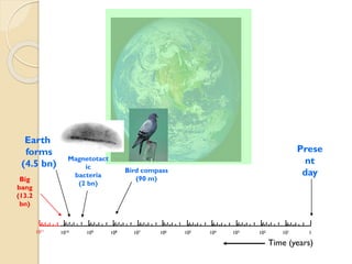 Big 
bang 
(13.2 bn) 
Earth 
forms 
(4.5 bn) 
Present 
day 
1010 
109 
108 
107 
106 
105 
104 
103 
102 
101 
1 
1011 
Magnetotactic 
bacteria 
(2 bn) 
Time (years) 
Bird compass 
(90 m)  