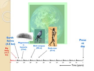 Big 
bang 
(13.2 bn) 
Earth 
forms 
(4.5 bn) 
Present 
day 
1010 
109 
108 
107 
106 
105 
104 
103 
102 
101 
1 
1011 
Magnetotactic 
bacteria 
(2 bn) 
Time (years) 
Bird compass 
(90 m) 
Early man 
(6 m)  