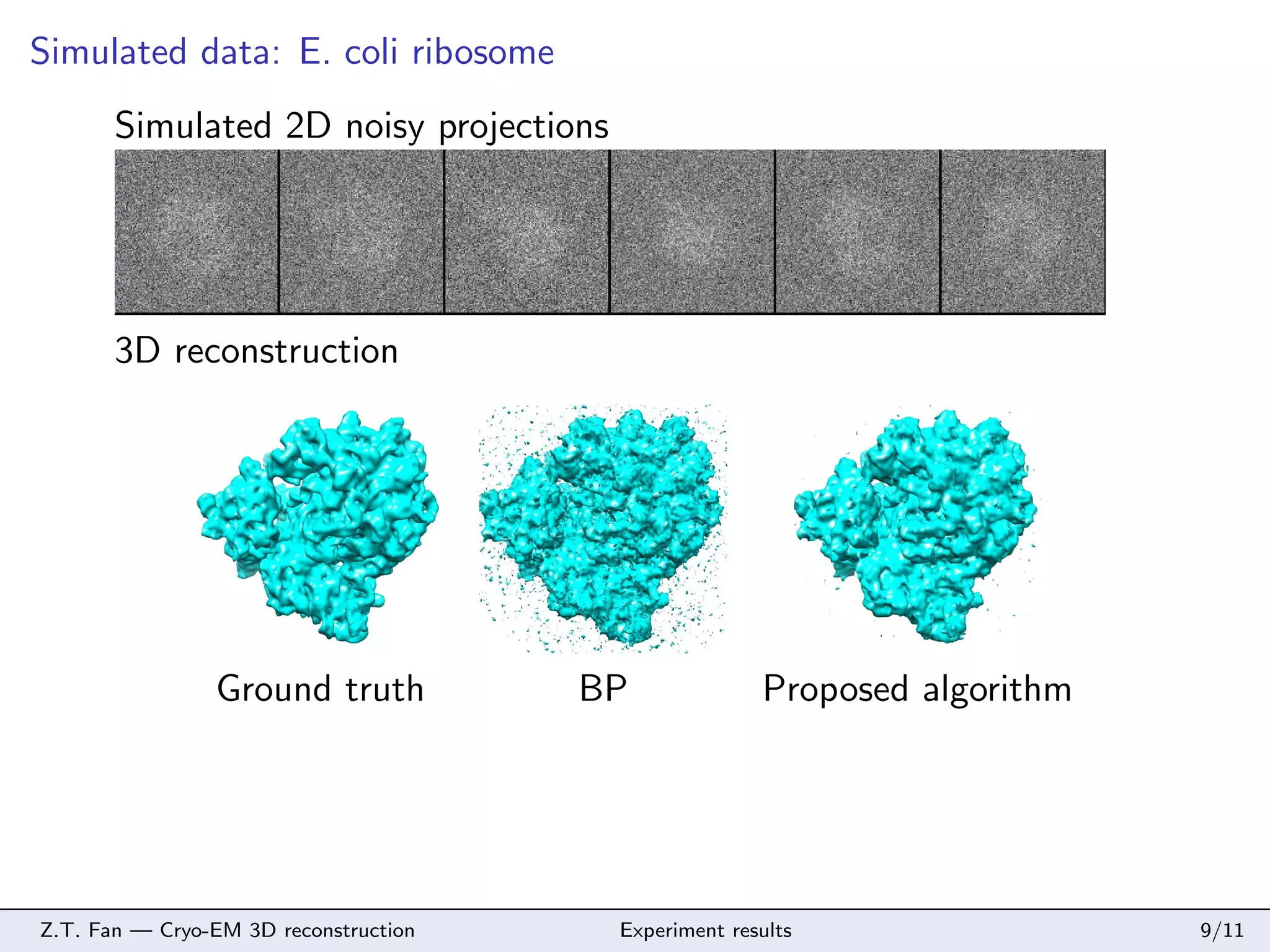 Simulated data: E. coli ribosome
Simulated 2D noisy projections

3D reconstruction

Ground truth

Z.T. Fan — Cryo-EM 3D reconstruction

BP

Proposed algorithm

Experiment results

9/11

 