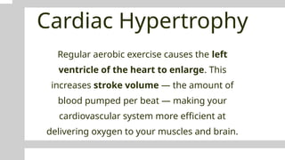 Cardiac Hypertrophy
Regular aerobic exercise causes the left
ventricle of the heart to enlarge. This
increases stroke volume — the amount of
blood pumped per beat — making your
cardiovascular system more efficient at
delivering oxygen to your muscles and brain.
 