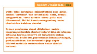 Kalsium Oksalat pada Talas
Umbi talas seringkali menimbulkan rasa gatal,
sensasi terbakar, dan iritasi pada kulit, mulut,
tenggorokan, serta saluran cerna pada saat
dikonsumsi. Hal ini karena mengandung asam
oksalat dan kalsium oksalat
Proses perebusan dapat dilakukan untuk
mengurangi jumlah oksalat terlarut jika air rebusan
dibuang, karena senyawa ini terlarut ke dalam
perebusan. Selain itu, perendaman dalam air hangat,
perkecambahan, dan fermentasi juga dapat
dilakukan untuk menurunkan kadar oksalat
terlarut.
 
