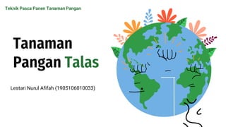 Tanaman
Pangan Talas
Lestari Nurul Afifah (1905106010033)
Teknik Pasca Panen Tanaman Pangan
 