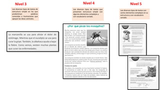 Lee diversos tipos de textos que
presentan estructura simple con
algunos elementos complejos y
con vocabulario variado.
Lee diversos tipos de textos con
varios elementos complejos en su
estructura y con vocabulario
variado.
Lee diversos tipos de textos de
estructura simple en los que
predominan palabras
conocidas e ilustraciones que
apoyan las ideas centrales.
Nivel 3 Nivel 4 Nivel 5
 