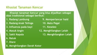 Khasiat Tanaman Kencur
Khasiat tanaman kencur yang bisa dijadikan sebagai
obat tradisional sebagai berikut:
1. Radang Lambung 9. Memperlancar haid
2. Radang Anak Telinga 10. Mata Pegal
3. Influenza pada bayi 11. Keseleo
4. Masuk Angin 12. Menghilangkan Lelah
5. Sakit Kepala 13. Menghilangkan Lelah
6. Batuk
7. Diare
8. Menghilangkan Darah Kotor
 