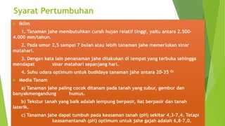 Syarat Pertumbuhan
 Iklim
1. Tanaman jahe membutuhkan curah hujan relatif tinggi, yaitu antara 2.500-
4.000 mm/tahun.
2. Pada umur 2,5 sampai 7 bulan atau lebih tanaman jahe memerlukan sinar
matahari.
3. Dengan kata lain penanaman jahe dilakukan di tempat yang terbuka sehingga
mendapat sinar matahari sepanjang hari.
4. Suhu udara optimum untuk budidaya tanaman jahe antara 20-35 Oc
 Media Tanam
a) Tanaman jahe paling cocok ditanam pada tanah yang subur, gembur dan
banyakmengandung humus.
b) Tekstur tanah yang baik adalah lempung berpasir, liat berpasir dan tanah
laterik.
c) Tanaman jahe dapat tumbuh pada keasaman tanah (pH) sekitar 4,3-7,4. Tetapi
keasamantanah (pH) optimum untuk jahe gajah adalah 6,8-7,0.
 