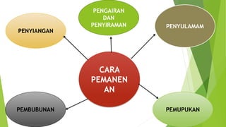 CARA
PEMANEN
AN
PENYULAMAM
PENYIANGAN
PEMBUBUNAN PEMUPUKAN
PENGAIRAN
DAN
PENYIRAMAN
 