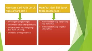 Mamfaat dari Kulit Jeruk
Nipis antara lain :
 Mencengah ngengat/tungau
 Menetrilisir udara kotor (aromanya)
 Mengharumkan atau mengurangi
bau mulut tak sedap.
 Membantu proses pencernaan
Mamfaat dari Biji Jeruk
Nipis antara lain :
 Bermanfaat terhadap bisa (racun)
yang mematikan
 Bermanfaat terhadap sengatan
kalajengking
 