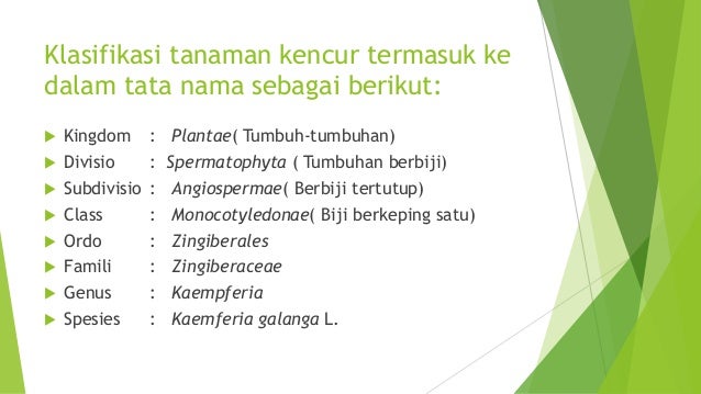  Ppt tanaman obat 