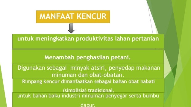 Ppt tanaman obat  Ppt tanaman obat
