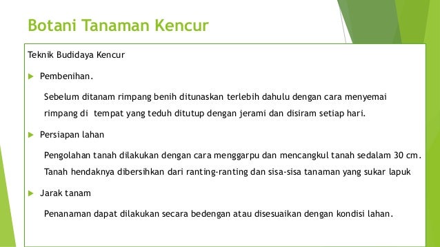  Ppt tanaman obat 