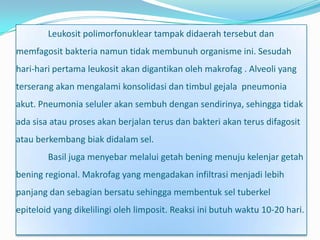 Leukosit polimorfonuklear tampak didaerah tersebut dan
memfagosit bakteria namun tidak membunuh organisme ini. Sesudah
hari-hari pertama leukosit akan digantikan oleh makrofag . Alveoli yang
terserang akan mengalami konsolidasi dan timbul gejala pneumonia
akut. Pneumonia seluler akan sembuh dengan sendirinya, sehingga tidak
ada sisa atau proses akan berjalan terus dan bakteri akan terus difagosit
atau berkembang biak didalam sel.
        Basil juga menyebar melalui getah bening menuju kelenjar getah
bening regional. Makrofag yang mengadakan infiltrasi menjadi lebih
panjang dan sebagian bersatu sehingga membentuk sel tuberkel
epiteloid yang dikelilingi oleh limposit. Reaksi ini butuh waktu 10-20 hari.
 