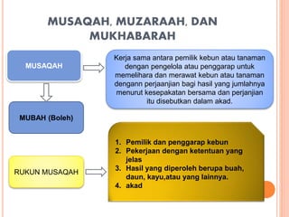 MUSAQAH, MUZARAAH, DAN
MUKHABARAH
MUSAQAH
Kerja sama antara pemilik kebun atau tanaman
dengan pengelola atau penggarap unt...