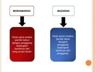 MUKHABARAH
Kerja sama antara
pemilik kebun
dengan penggarap
sedangkan
bwnihnya dari
yang punya tanah.
MUZARAH
Kerja sama a...
