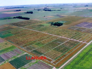 LLANURA
          08/07/2012
 