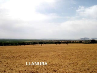 LLANURA
          08/07/2012
 