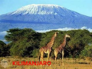 Haga clic para modificar el estilo de subtítulo del patrón




       MONTAÑ
  KILIMANJARO
       A                                               08/07/2012
 