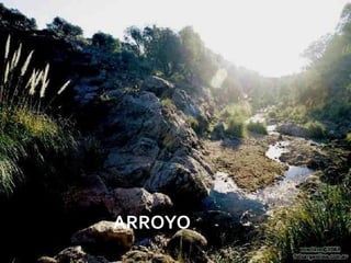 ARROYO
         08/07/2012
 