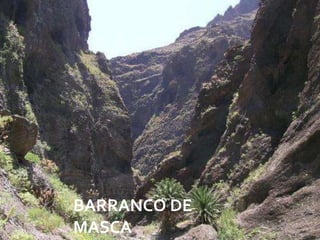 BARRANCO DE
MASCA         08/07/2012
 