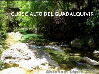 CURSO ALTO DEL GUADALQUIVIR




                   08/07/2012
 