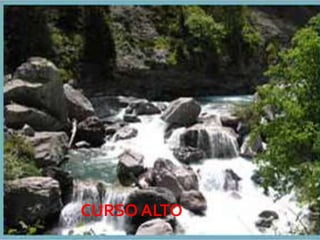 CURSO ALTO
             08/07/2012
 