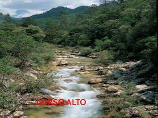 CURSO ALTO
             08/07/2012
 