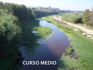 CURSO MEDIO
              08/07/2012
 