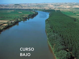 CURSO
BAJO    08/07/2012
 