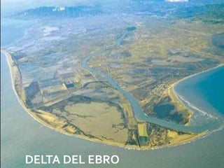 DELTA DEL EBRO   08/07/2012
 