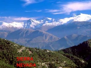 SIERRA
NEVADA   08/07/2012
 