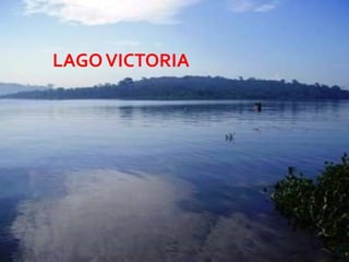 LAGO VICTORIA




                08/07/2012
 