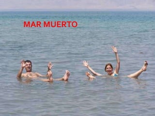 MAR MUERTO




             08/07/2012
 