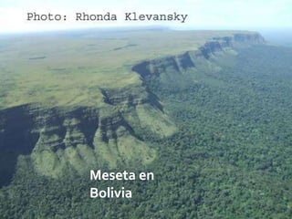 Meseta en
Bolivia
            08/07/2012
 