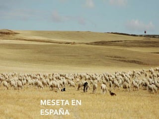 MESETA EN
ESPAÑA      08/07/2012
 
