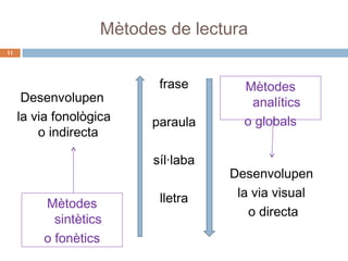 Mètodes de lectura
11

Desenvolupen
la via fonològica
o indirecta

frase
paraula
síl·laba

Mètodes
sintètics
o fonètics

lletra

Mètodes
analítics
o globals

Desenvolupen
la via visual
o directa

 