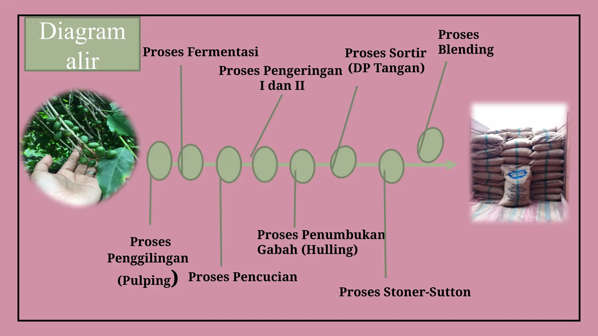 Ppt Tentang Kopi Pptxbbbbbbbbbbbbbbbbbbbbbbbbbbbbbbbbbbb Pptx