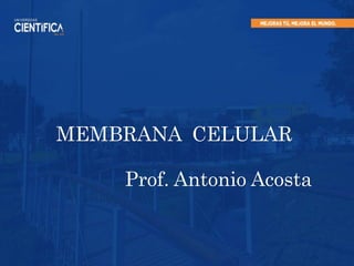 MEMBRANA CELULAR
Prof. Antonio Acosta
 