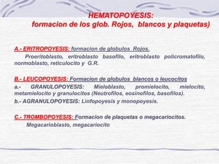 PPT_TEORIA FISIOLOGIA II_SANGRE_2023-1..ppt