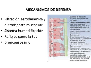 PPT_TEORIA FISIOLOGIA II_SANGRE_2023-1..ppt